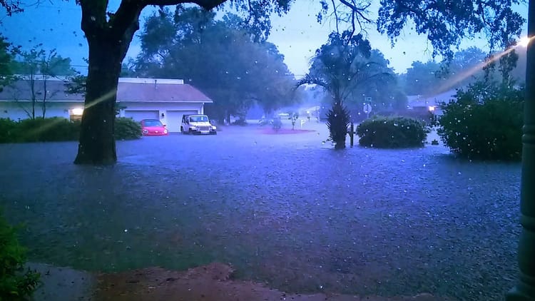 A large oak tree emerges from a flooded front yard.